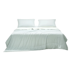Quick-Dry Cooling Tussah Silk comforter